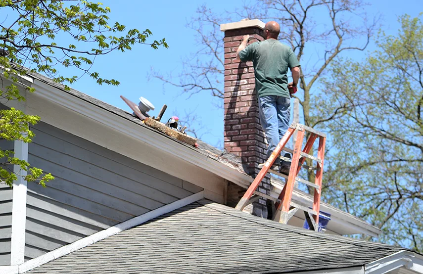 Chimney & Fireplace Inspections Services in Tuscaloosa, AL